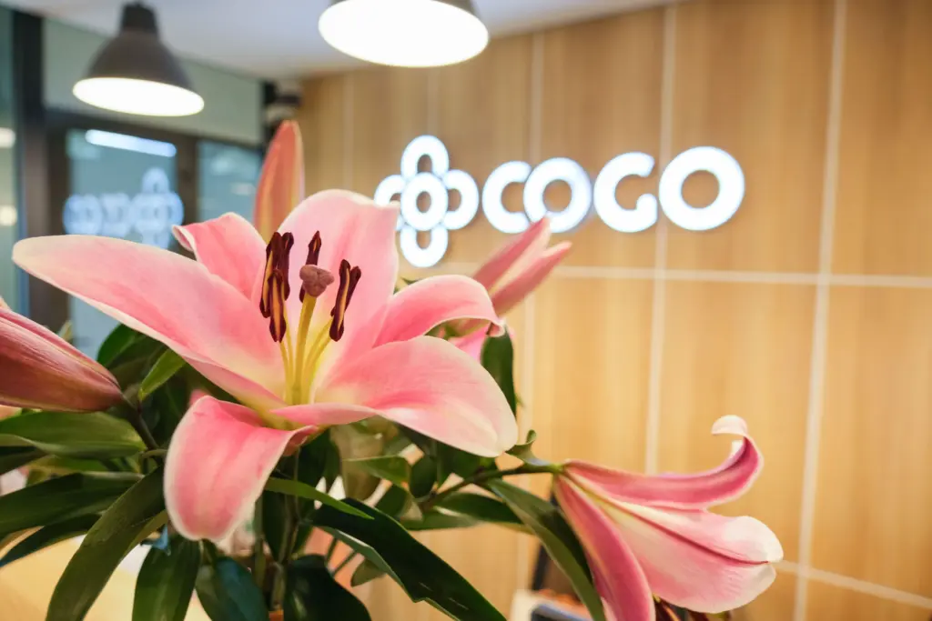 Thuê 12 tháng tặng thêm đến 2 tháng miễn phí